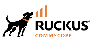 Ruckus Networks Partner